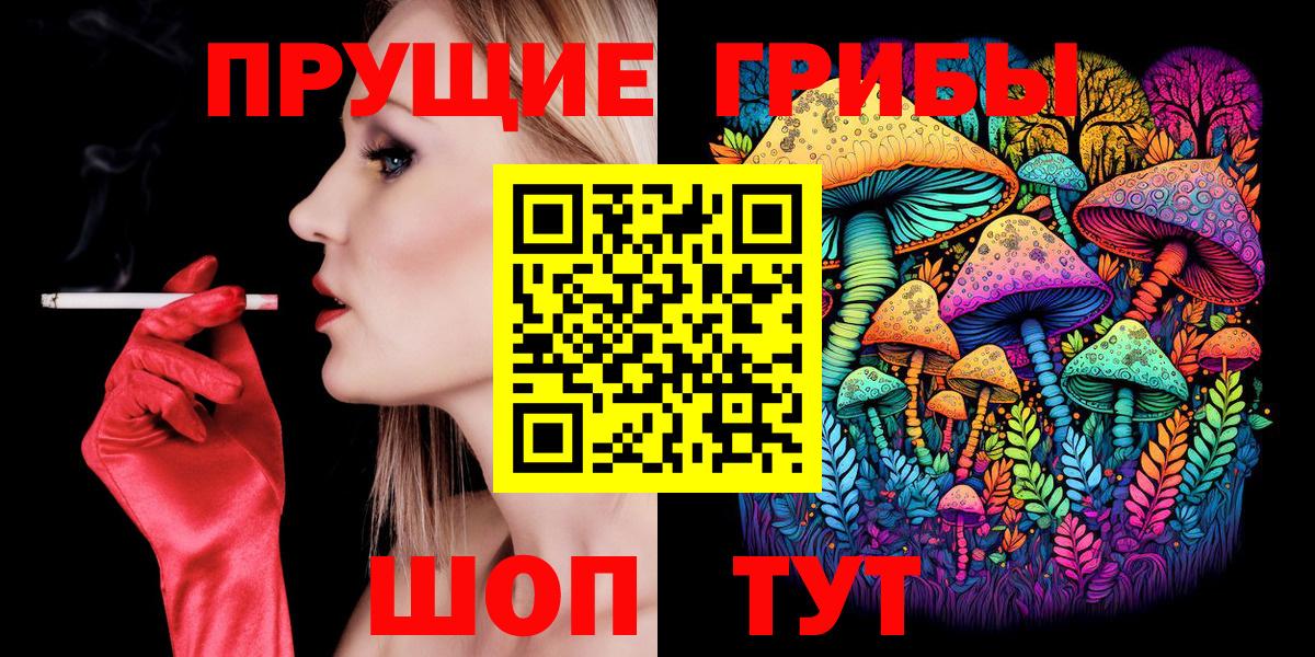 Псилоцибиновые грибы Psilocybe Курчалой