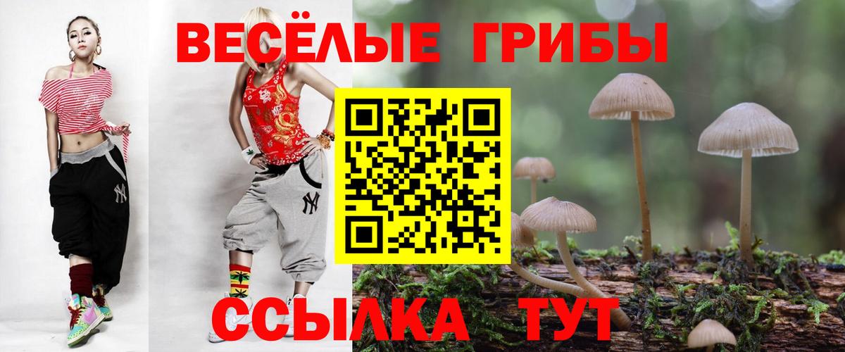 Курчалой  Галлюциногенные грибы прущие грибы  Вход с VPN 