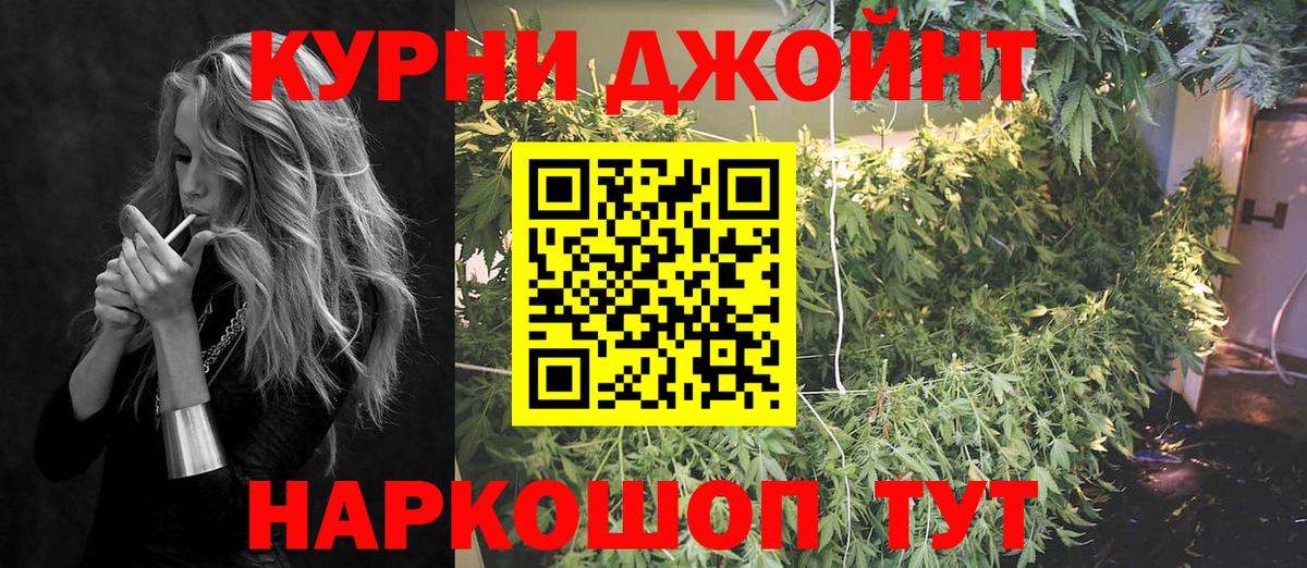 Каннабис индика Курчалой